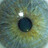 Christopher_West
